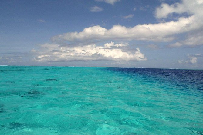 Small-Group Afternoon Snorkeling Tour of The Aquarium, Tahiti - Tour Overview and Details