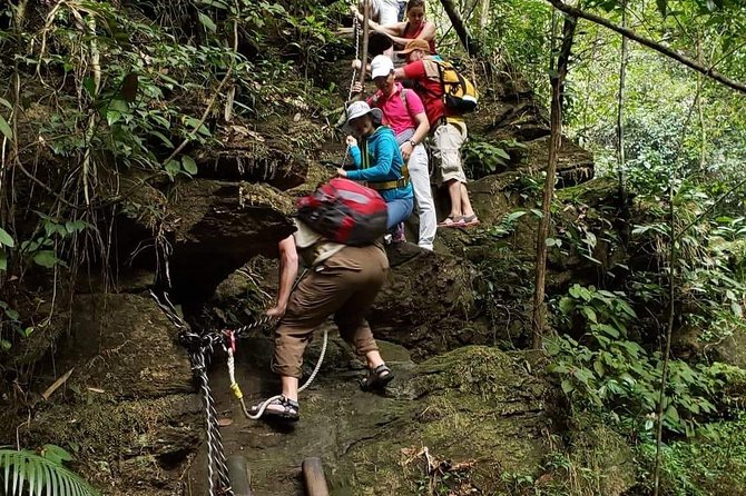 Small Group - Bach Ma National Park Trekking Tour From Hue - Highlights of Bach Ma National Park