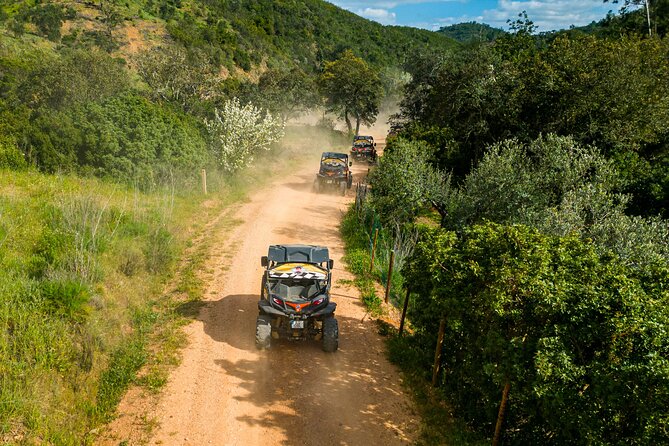 Small-Group Buggy Riding Safari in Algarve - Overview