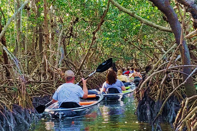 Small-Group Clear Kayak Tour in Shell Key - Tour Details and Pricing