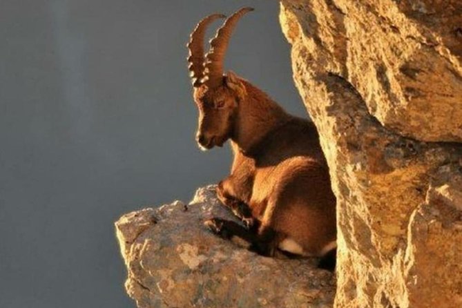 Small-Group Day Tour to Crete'S Dikti Range With Cave of Zeus  - Agios Nikolaos - Highlights