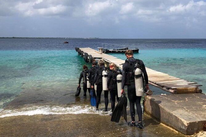 Small Group Diving Experience in Caribbean - Small Group Experience With Personalized Tours