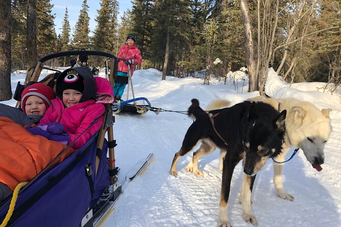 Small-Group Dog Sledding Experience in Sterling - Whats Included