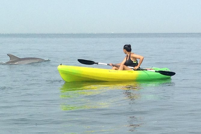 Small Group Dolphin Kayak Eco-Tour - Whats Included in the Tour