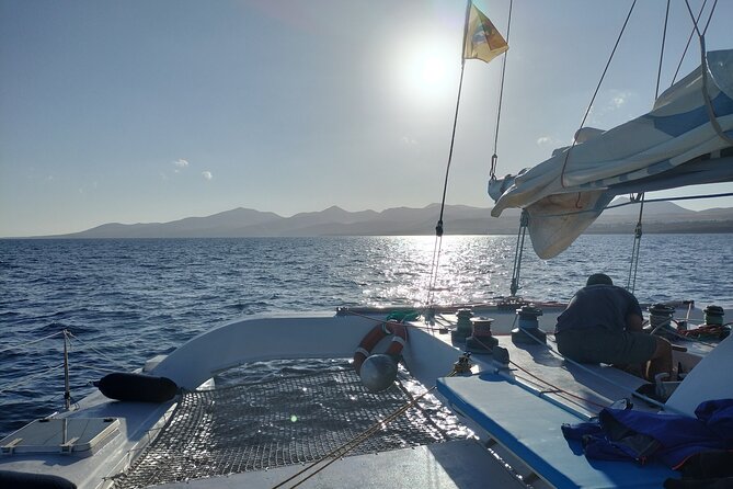 Small Group Dolphin Sunset Tour on Electric Catamaran Lanzarote - Inclusions