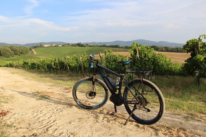 Small Group E-Bike Chianti Tour With Farm Lunch From Siena - Tour Highlights