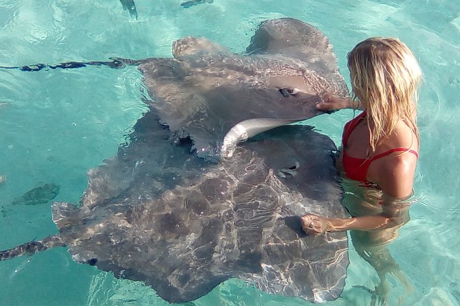 Small-Group Glass Bottomed Boat Tour With Snorkeling, Moorea - Booking and Reservation
