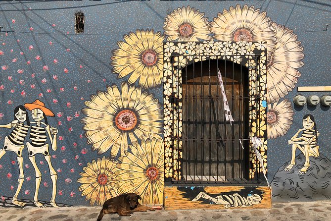 Small-Group Half-Day Bicycle Tour to Street Art Spots, Oaxaca  - Oaxaca City - Tour Details