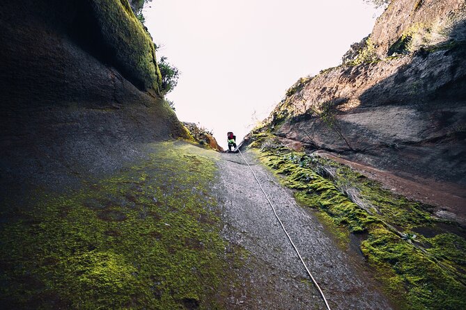 Small-Group Half-Day Canyoning in La Orotava - Overview and Experience