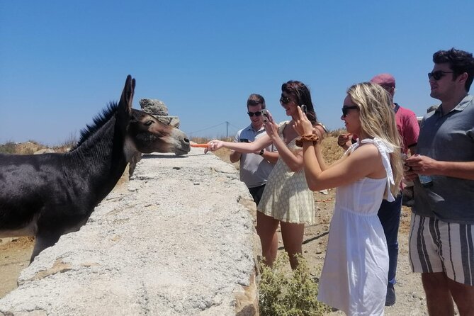 Small-Group Half-Day Tour in Mykonos - Inclusions