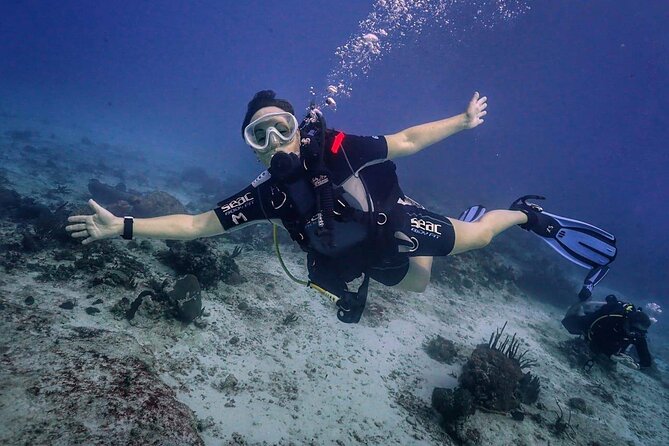 Small-Group Introductory Scuba Dive in Cozumel - Duration and Beginners