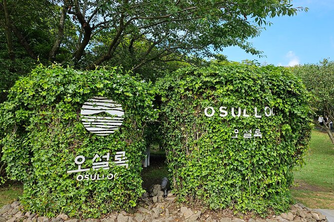 Small Group Jeju Private Full-Day Tour of East and South and West - Tour Highlights
