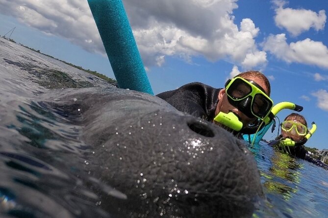 Small Group Manatee Snorkel Tour With In-Water Guide and Photographer - Tour Details