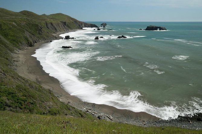 Small Group Redwoods, California Coast & Sausalito Day Trip From San Francisco - Tour Overview and Highlights