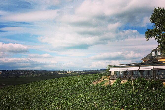 Small Group Rheingau Vineyards Tour With Castles and Abbeys - Tour Highlights