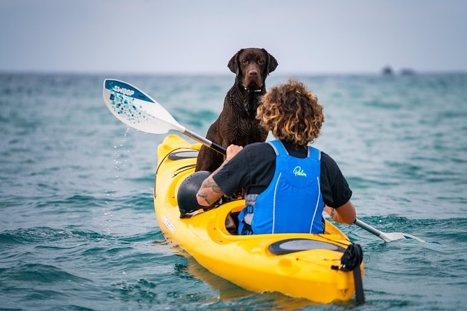 Small-Group Santorini Sea Caves Kayak Trip With Snorkeling & Picnic - What To Expect