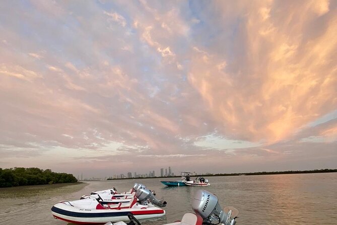 Small-Group Self-Drive Speedboat Tour in the Mangroves - Reviews and Customer Experiences