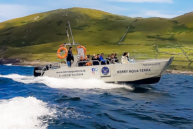 Small-Group Valentia Harbour Boat Tour in Ireland  - Ring of Kerry - Tour Overview and Highlights