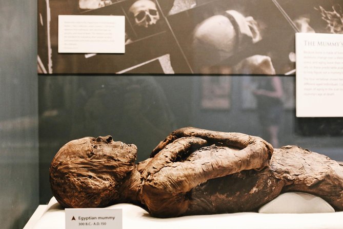 Smithsonian Natural History American History Semi-Private Tour - Meeting and Pickup Details