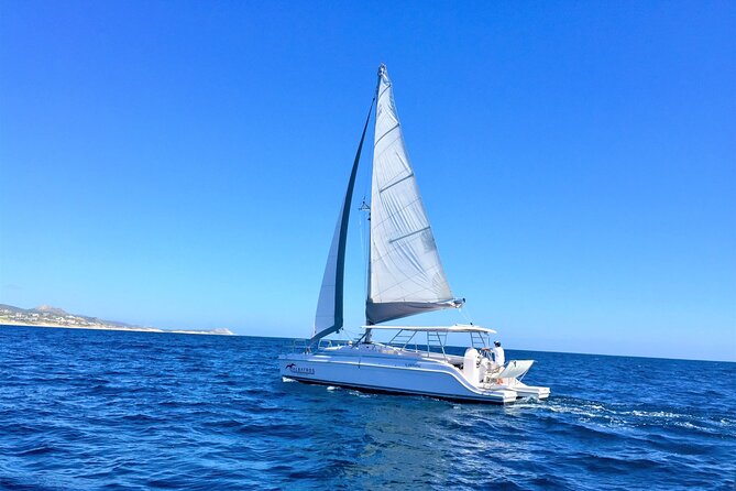 Snorkel Adventure Through the Sea of Cortez - What to Expect