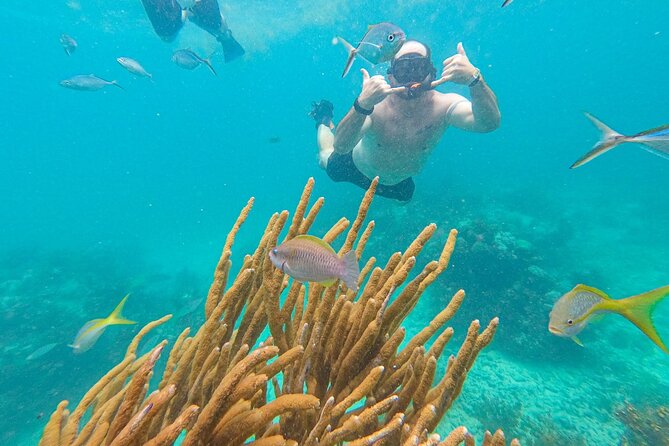 Snorkel Lovers Seafood Slide Catamaran-Family Friendly - Pickup and Transportation