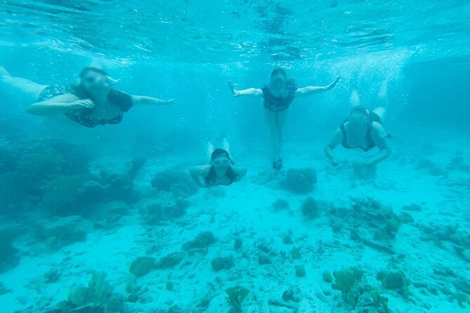 Snorkel Marathon - Reviews and Ratings of Snorkel Marathon