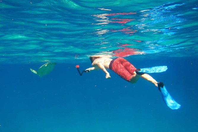Snorkel Tour - Captain and Crew