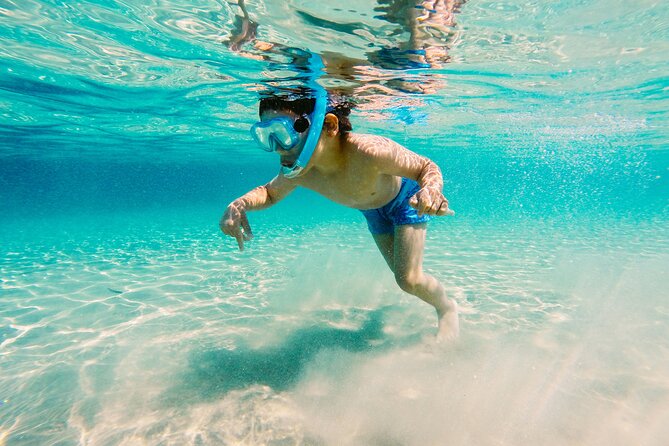 Snorkeling and Dolphin Watching Experience in Destin - Destin Snorkeling and Dolphin Watching Experience