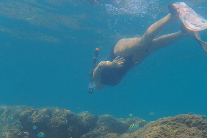 Snorkeling San Carlos With a Marine Biologist - Overview of Snorkeling San Carlos