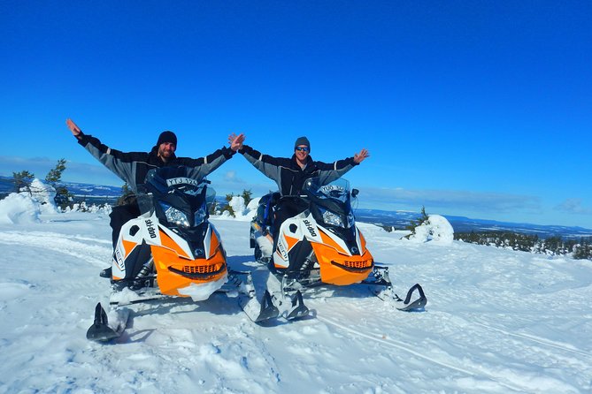 Snowmobile Adventure in Swedish Lapland (Day Tour) - Tour Overview