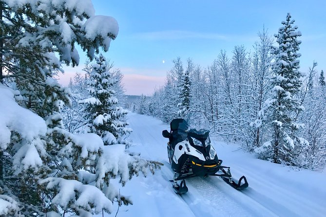 Snowmobile Exclusive Tour - Pricing and Duration
