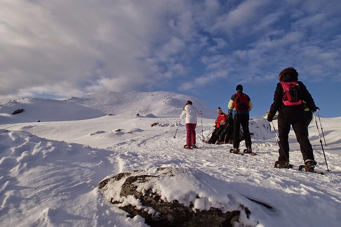 Snowshoe Hike on Whale Island in Tromso - Inclusions and Meeting Details