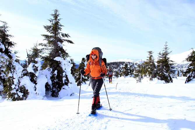 Snowshoe Rental at Tremblant - Overview and Benefits of Snowshoe Rental