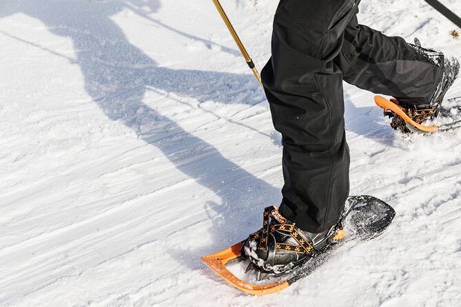 Snowshoe Tour in Winter Wonderland - Oslo - Tour Details