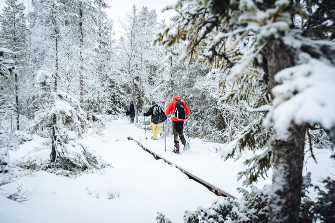 Snowshoe Winter Hike From Stockholm - Dress Appropriately