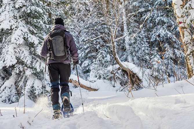 Snowshoeing Tour in Jacques-Cartier National Park - Recommended for Families With Kids