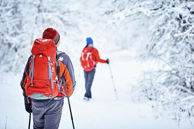 Snowshoes Hike in Lofoten - Overview and What To Expect