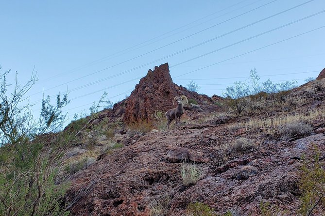Soak Under the Stars in a Natural Hot Spring - Benefits of Soaking in a Natural Hot Spring