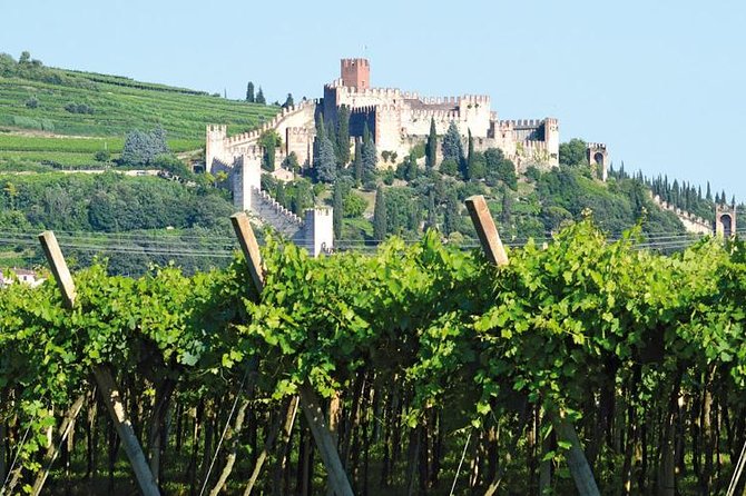 Soave Borgo Wine Day Trip With Light Lunch & 2 Wineries - Overview of Soave Borgo Wine Day Trip