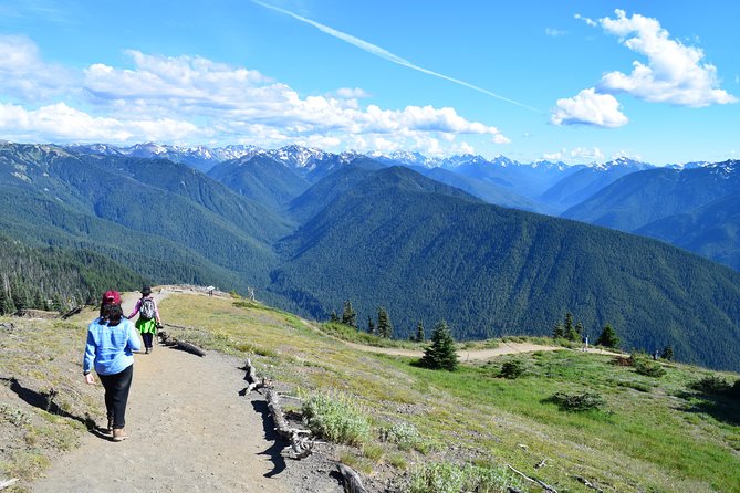 Sol Duc, Lake Crescent, and Hurricane Ridge Guided Tour in Olympic National Park - Tour Overview