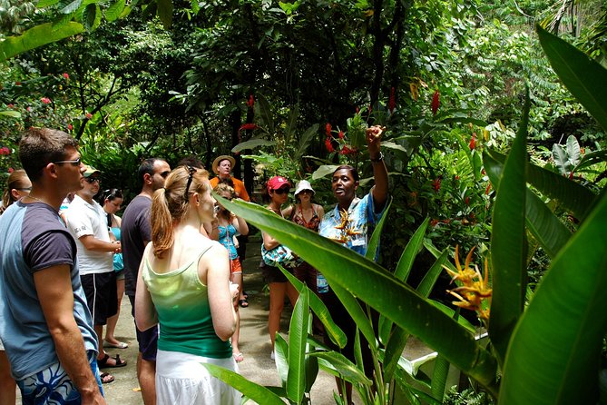Soufriere Island Delight - Popular Caribbean Destination