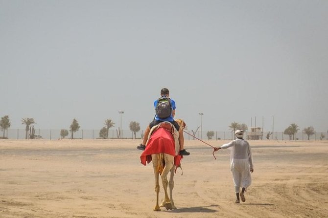 South Coast Tour With Camel Ride in Qatar - Tour Highlights
