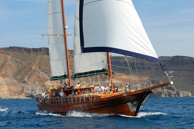 South Fuerteventura VIP Cruise on Board a Turkish Gulet - Pricing and Value