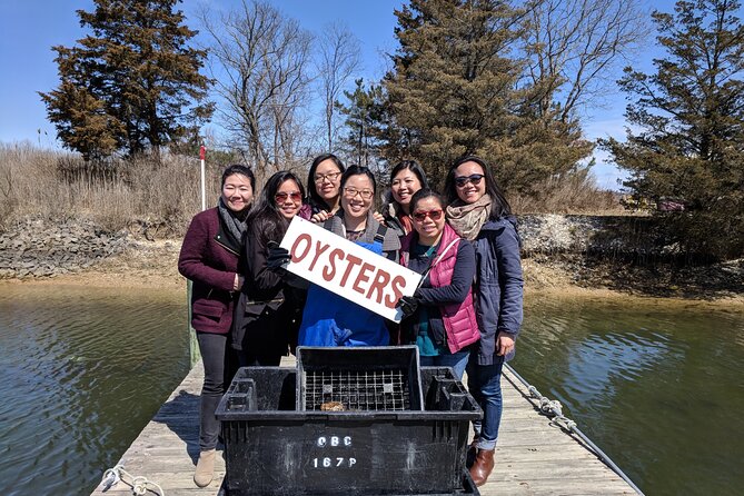 Southold Bay Oyster Farm Tour - Oyster Farming Process