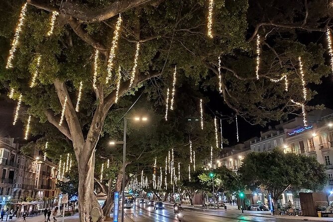Special Christmas Lights. Night Tour in Malaga by Electric Car. - Meeting and Pickup Information