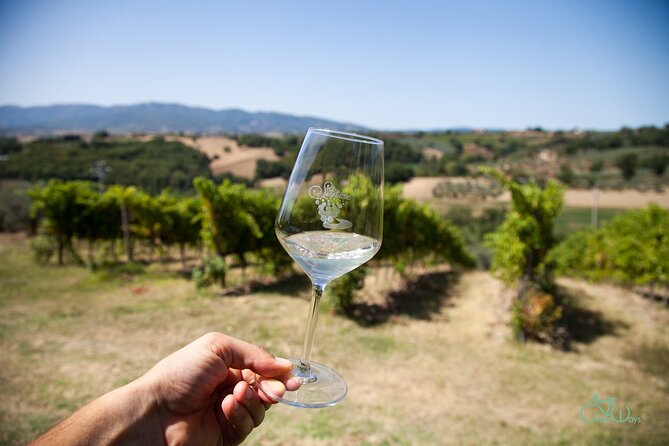 Spello E-Bike Tour With Lunch and Wine Tasting! - Additional Information