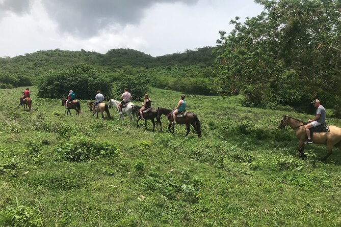 St. Croix Horseback Ride  - St Croix - Pricing and Reservation