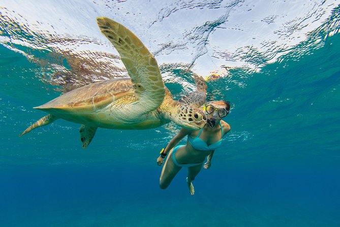 St John Snorkel & Beach Yacht Charter From American Yacht Harbor - Meeting Point and Address