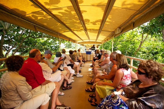 St Kitts Scenic Train Tour (Hotel or Ship) - Scenic Views and Sightseeing