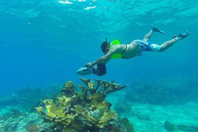 St. Lucia Speedboat and Power Snorkel From Castries - Speedboat and Power Snorkel Tour Highlights